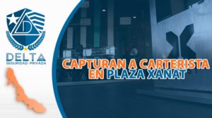 Lee más sobre el artículo Capturan a carterista en la Plaza Xanat de Xalapa, Veracruz